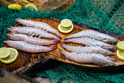 Key West Pink Shrimp – 5lb Box